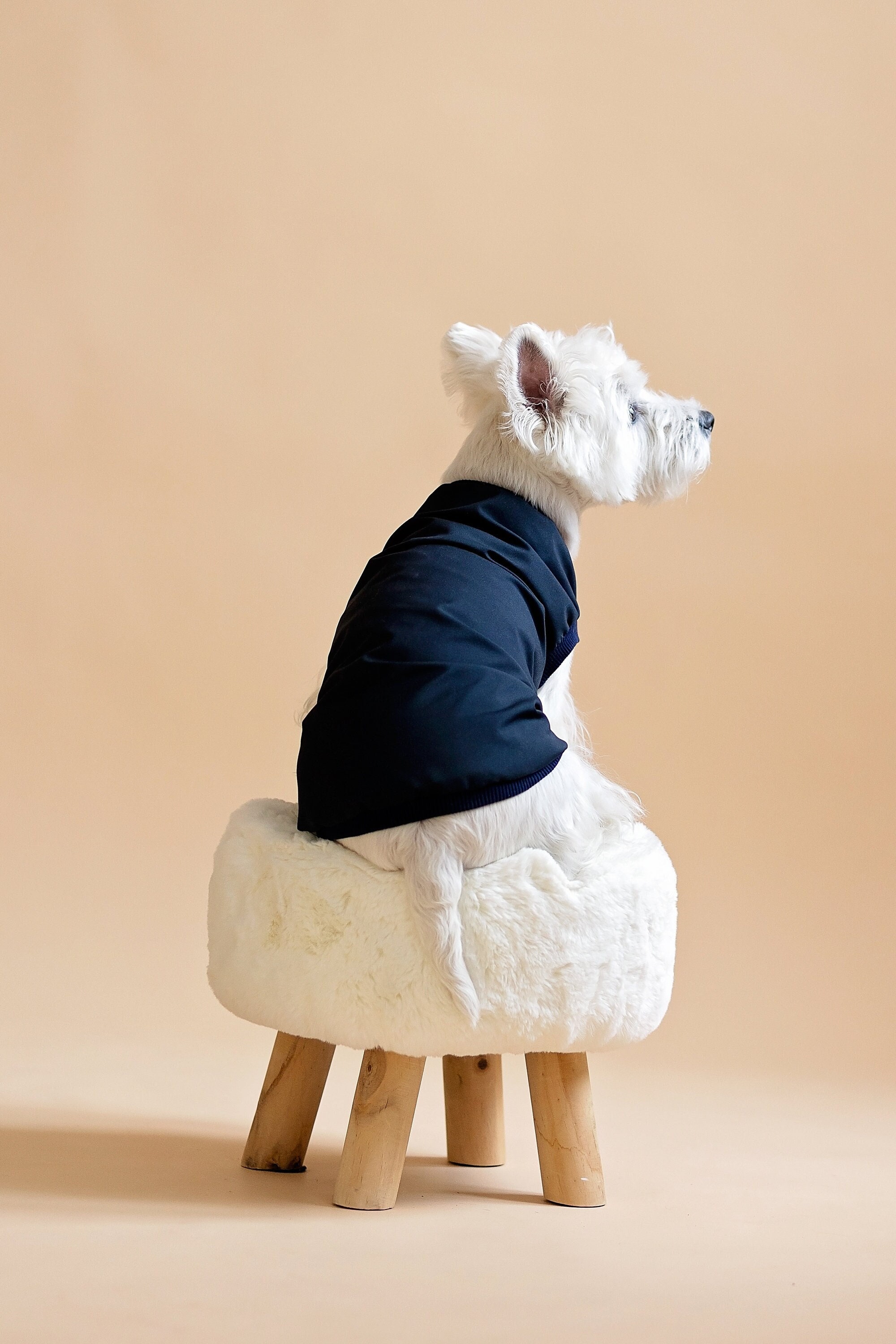 BOY Light Black Dog JACKET Rainblock 