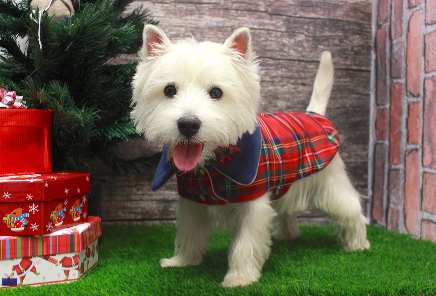 Tartan dog coat tweed dog coat Scottish plaid dog jacket