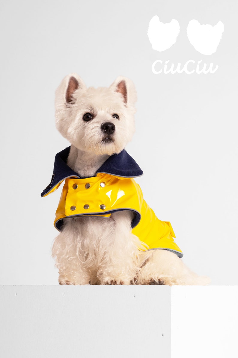 Yellow PVC Dog Coat With Reverse Navy Collar. Metal Studs. Light Reflects. Adjustable. Light or Fleece Underlayer. Small and Medium Dog Size image 6