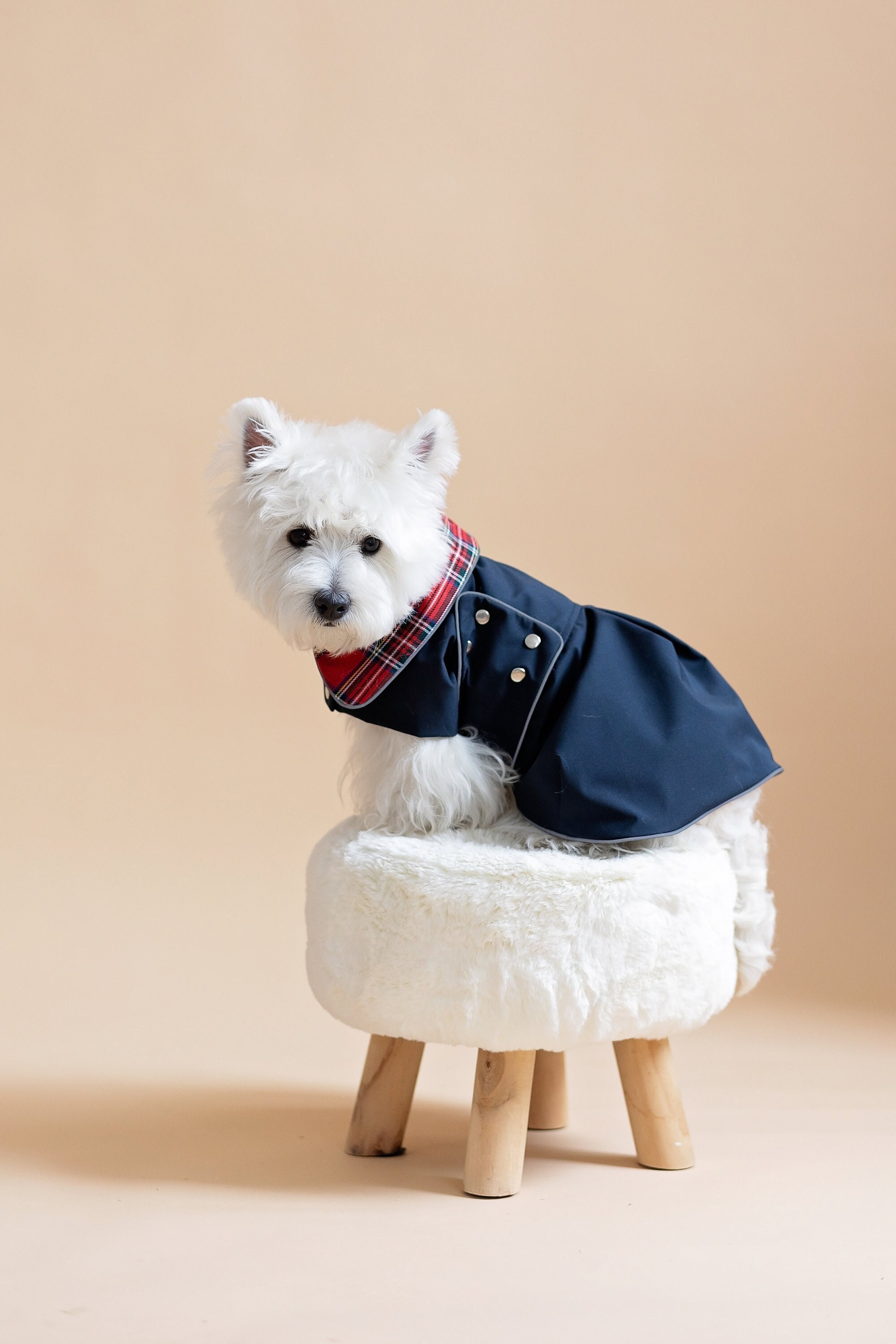 Fashion Westie Dog Clothes The Mountain West Highland White