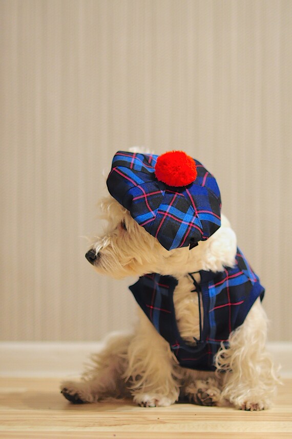 westie dog clothes