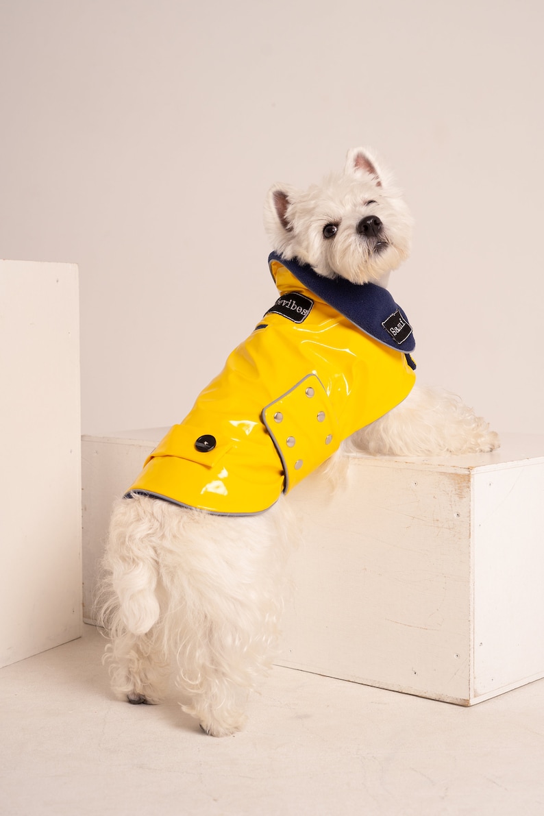 Yellow PVC Dog Coat With Reverse Navy Collar. Metal Studs. Light Reflects. Adjustable. Light or Fleece Underlayer. Small and Medium Dog Size image 2