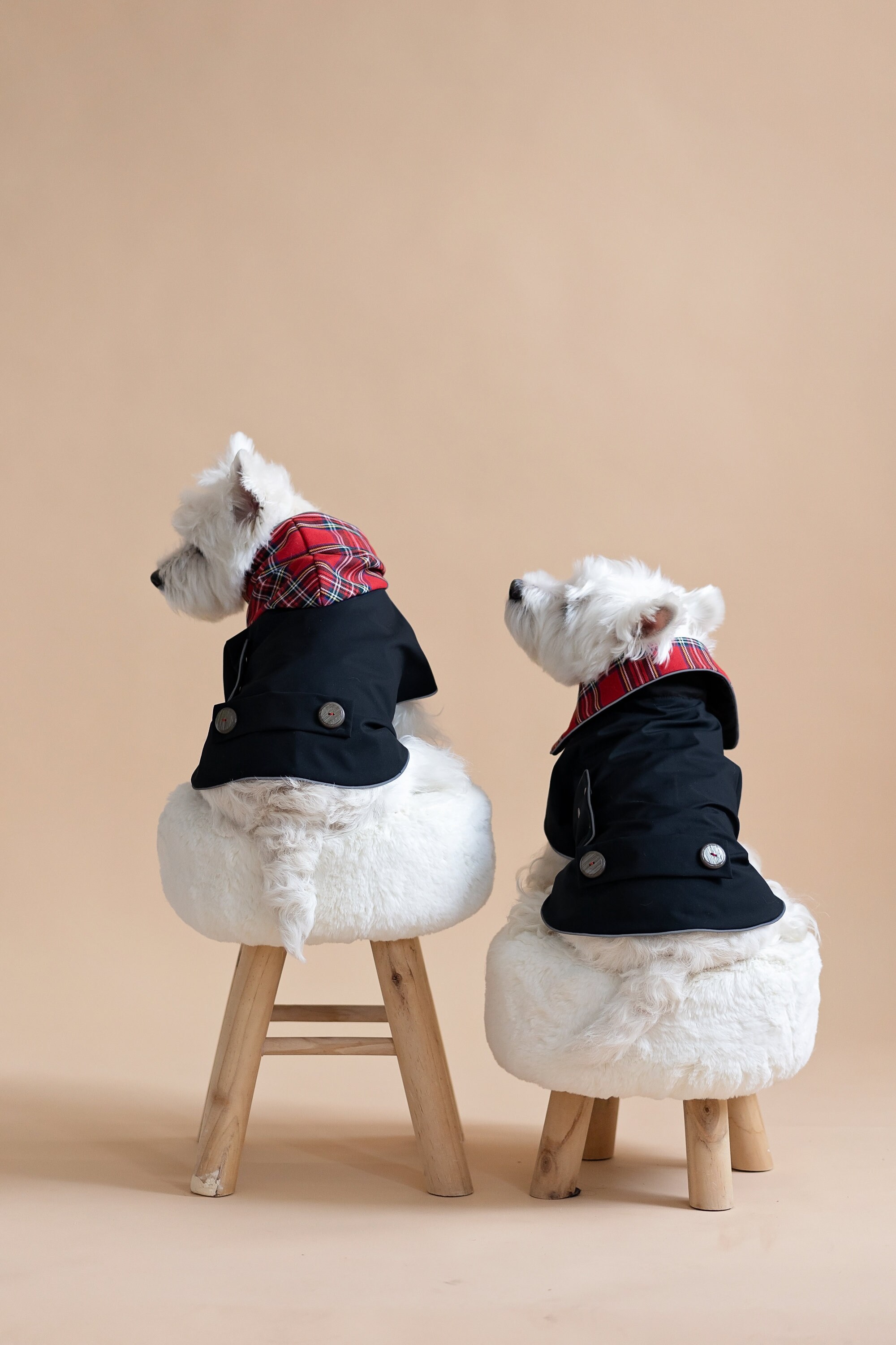 Waterproof coats for westies cheap