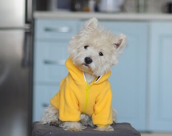 westie raincoat