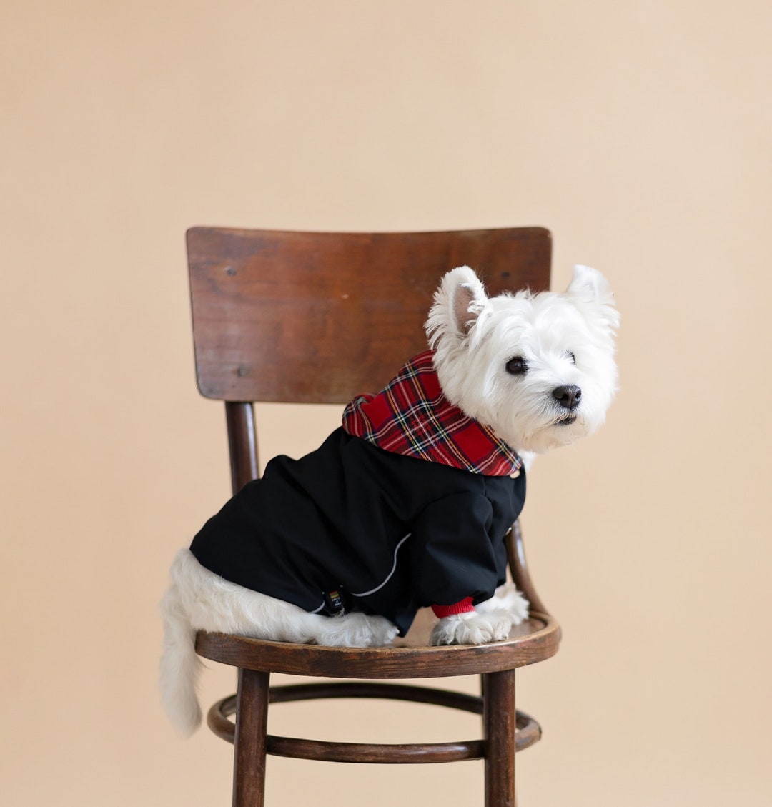 Chaqueta impermeable con capucha para perros Westie, Basenji, chaqueta para  perros de tamaño Bloqueador de lluvia para capó y Abrigo 