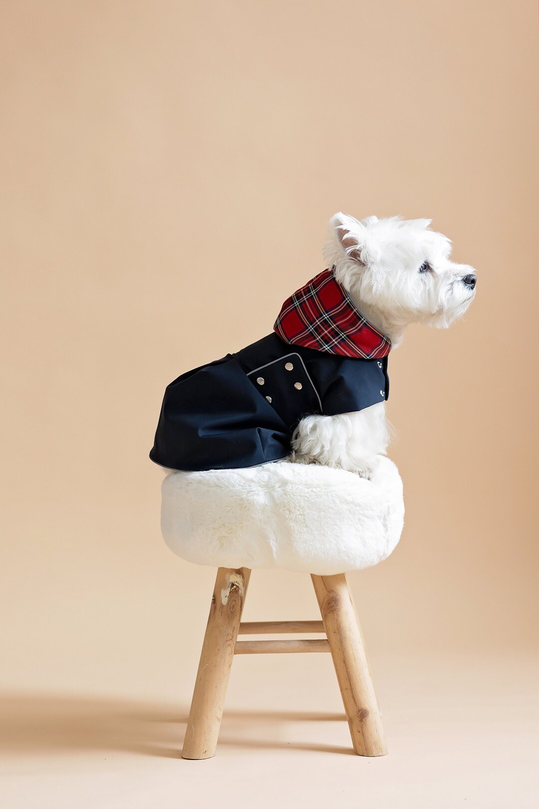 Dog Coat Dress