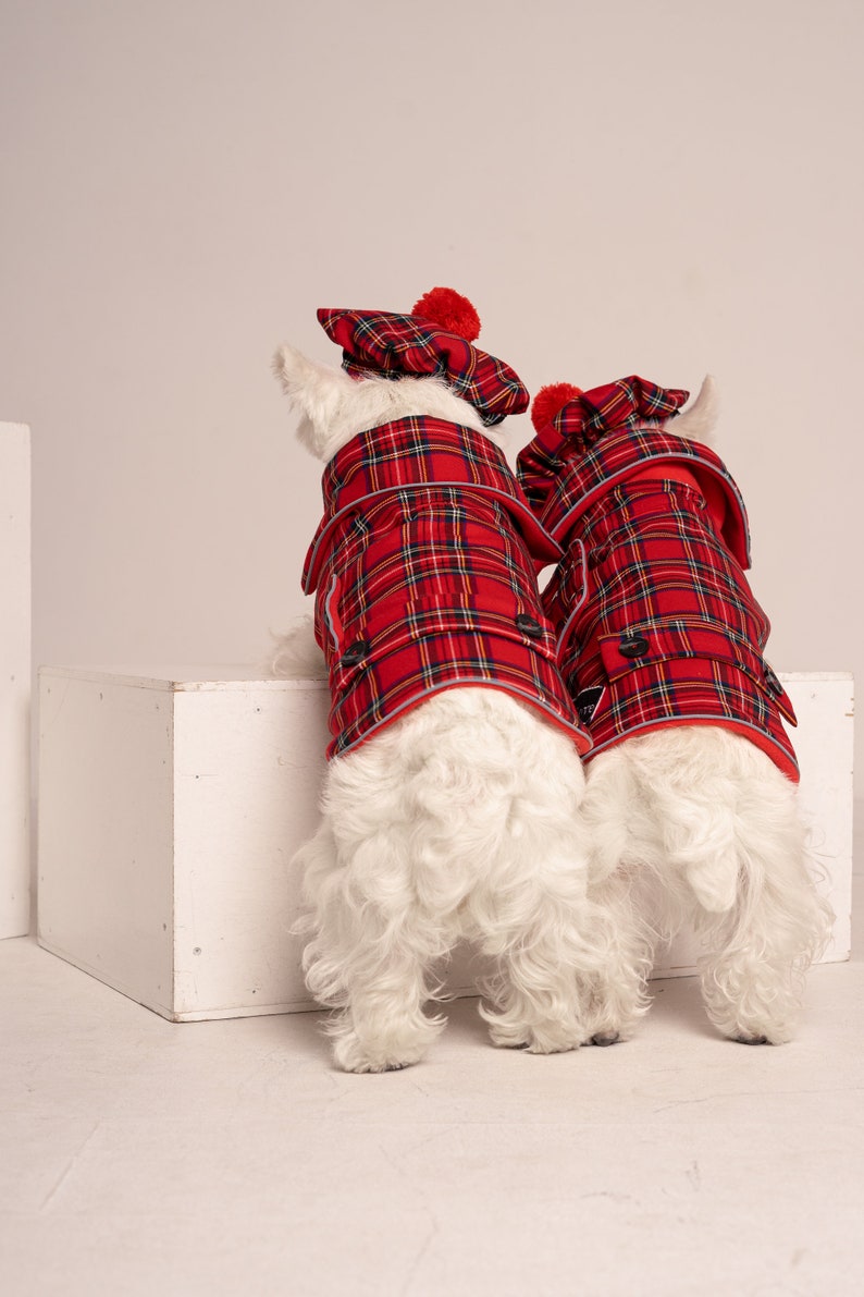 2 SETs: Westie royal Stewart red plaid COATs and CAPs. Scottish dog, warm, westie tartan jacket and hat, Tartan dog coat, christmas apparel image 7