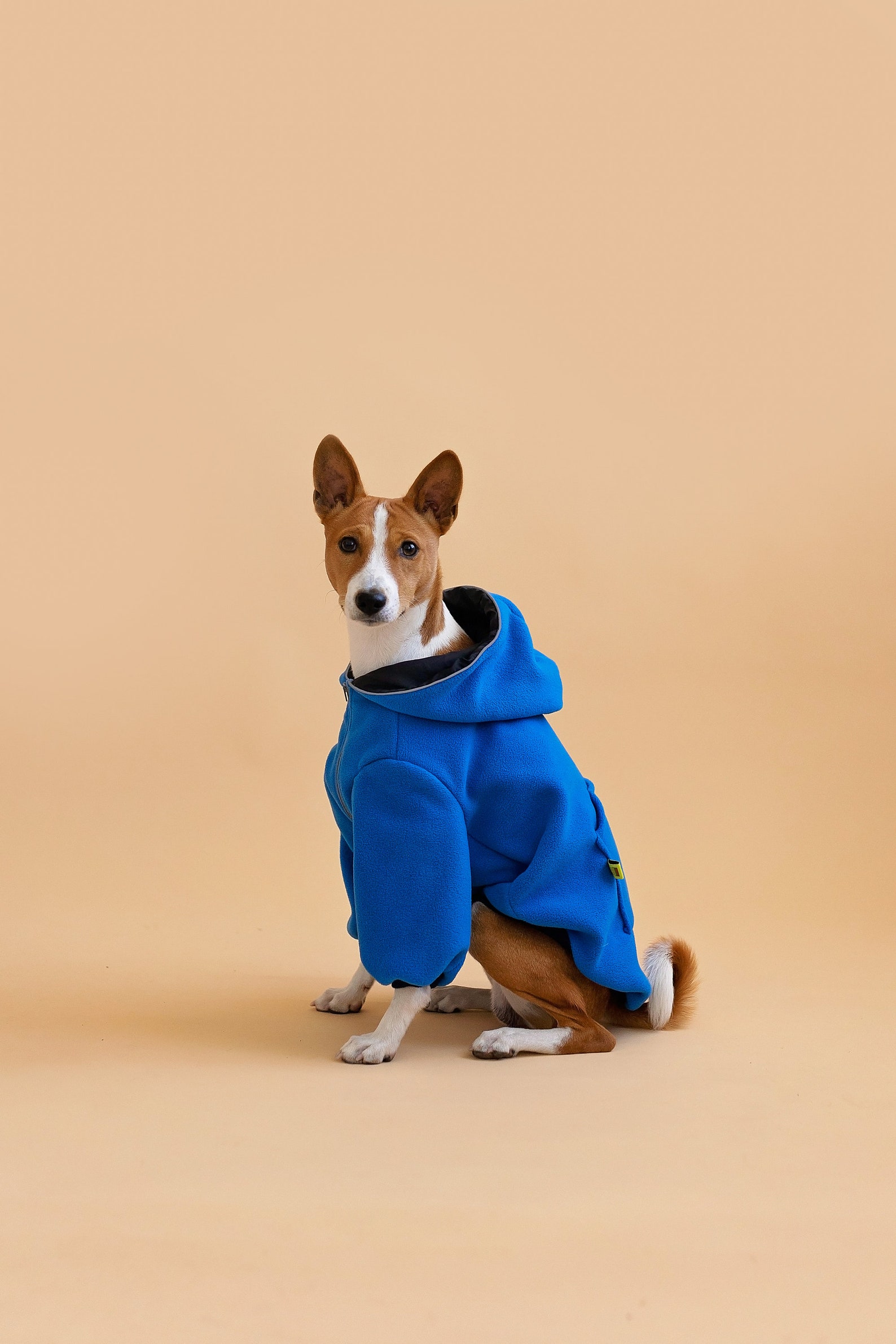 Designer Dog Sweater for Basenji Cozy Fleece Hoodie EU Etsy