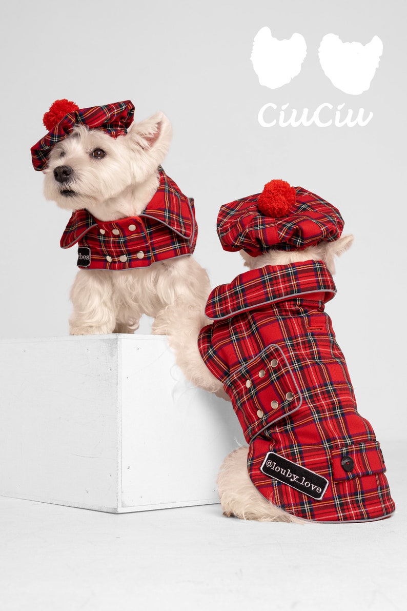 2 SETs: Westie royal Stewart red plaid COATs and CAPs. Scottish dog, warm, westie tartan jacket and hat, Tartan dog coat, christmas apparel image 5