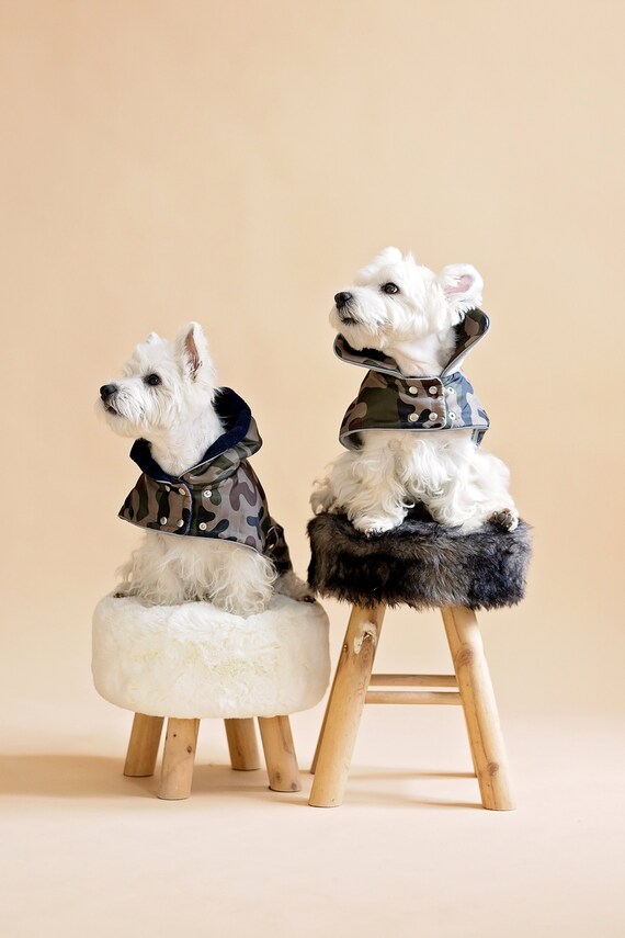 Camouflage Dog Coat With Collar. Reflects. Medium Size Dog Coat