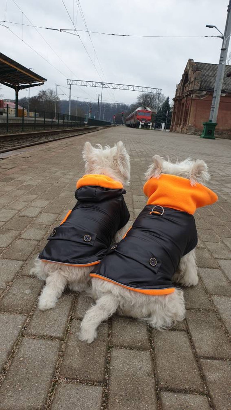 BLACK dog COAT with COLLAR waterproof dog coat black westie Etsy