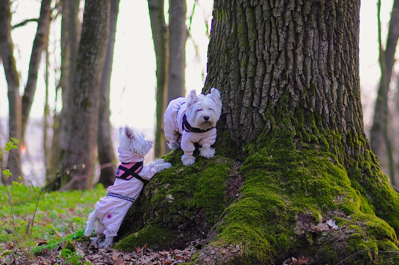 westie Dog flax overall linen dog overall pink or blue untitick and unti summer dirt linen coverall overall medium dog clothes
