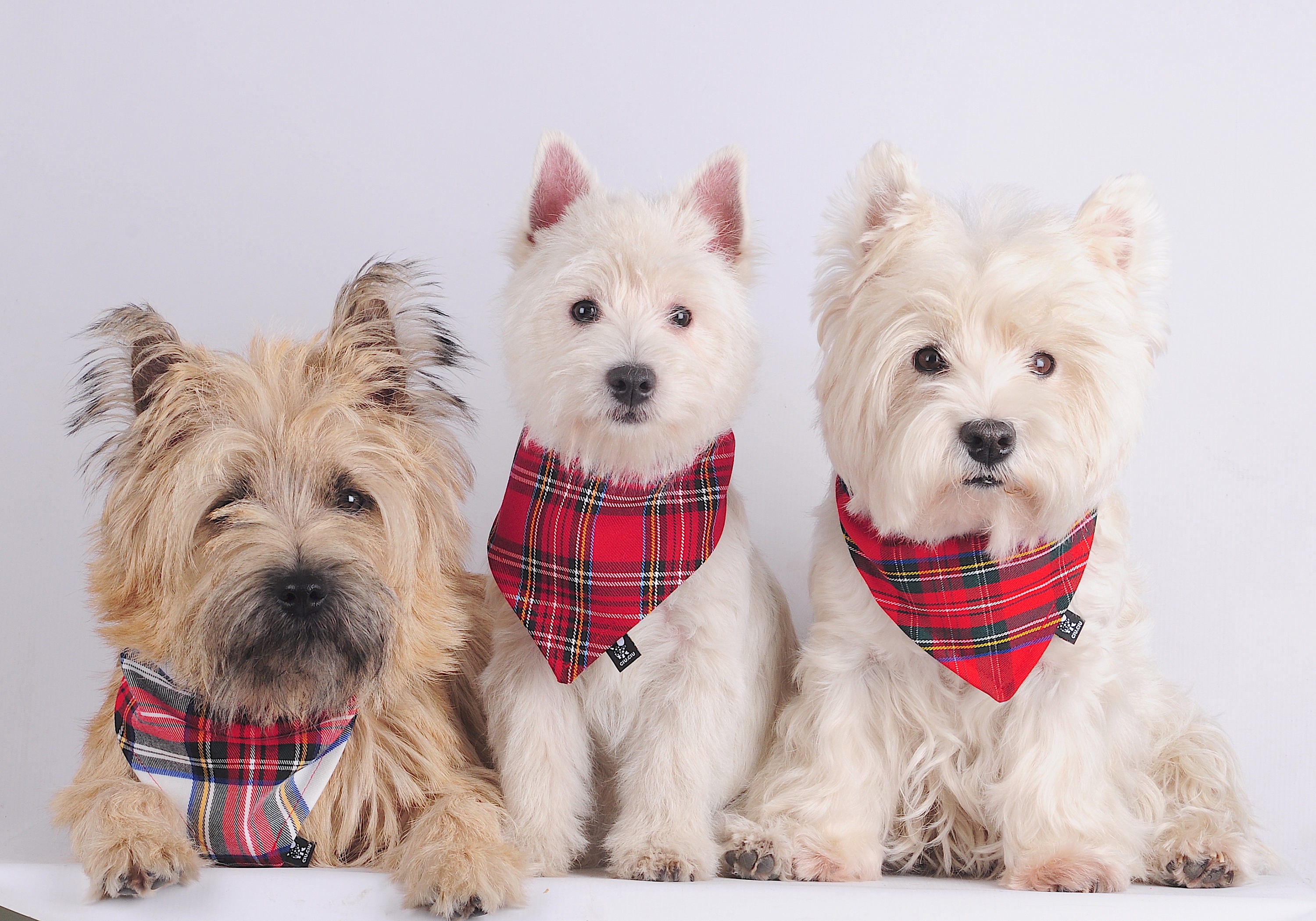 tartan dog scarf