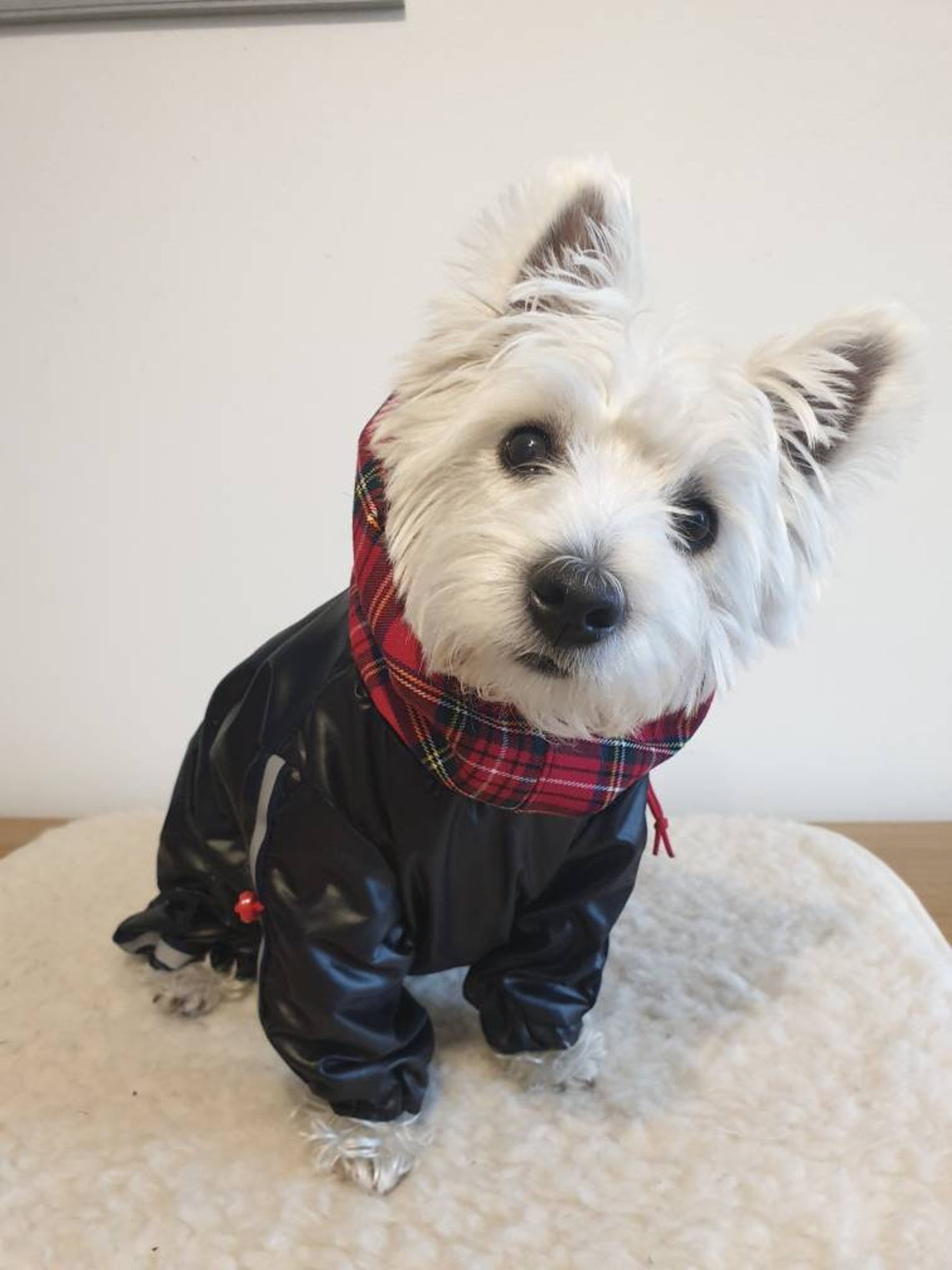 GIRL westie BLACK TARTAN raincoat dog raincoat dog rain Etsy