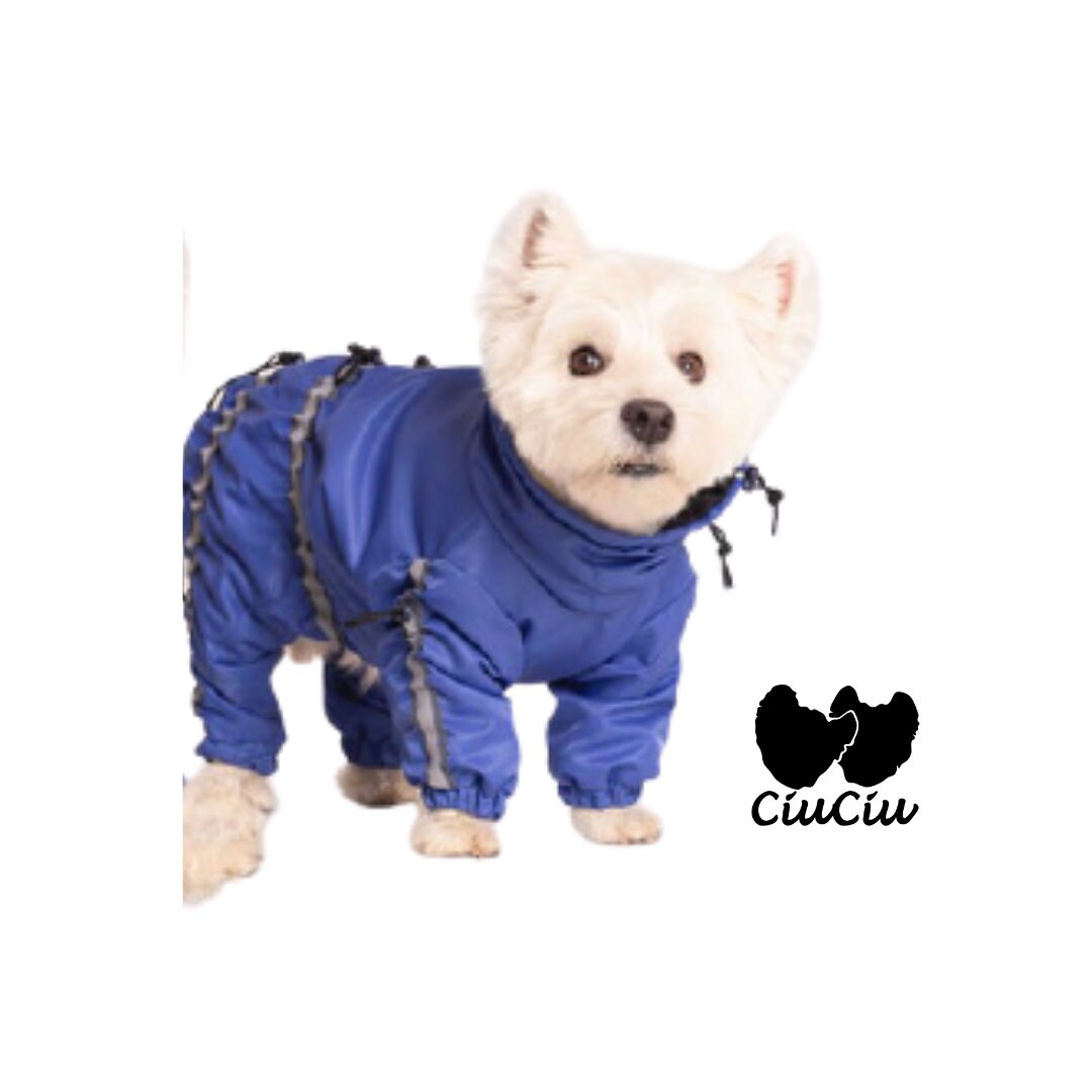 westie raincoat