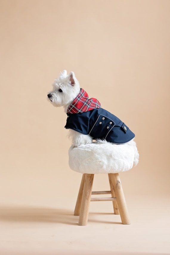 Thin waterproof 2025 dog coat