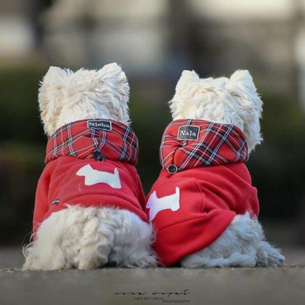 Fleece Dog Hoodie Etsy