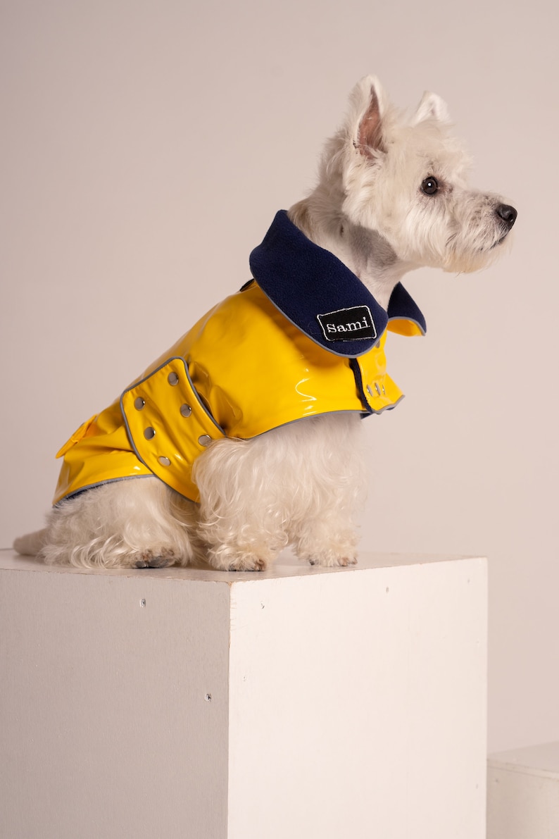 Yellow PVC Dog Coat With Reverse Navy Collar. Metal Studs. Light Reflects. Adjustable. Light or Fleece Underlayer. Small and Medium Dog Size image 1