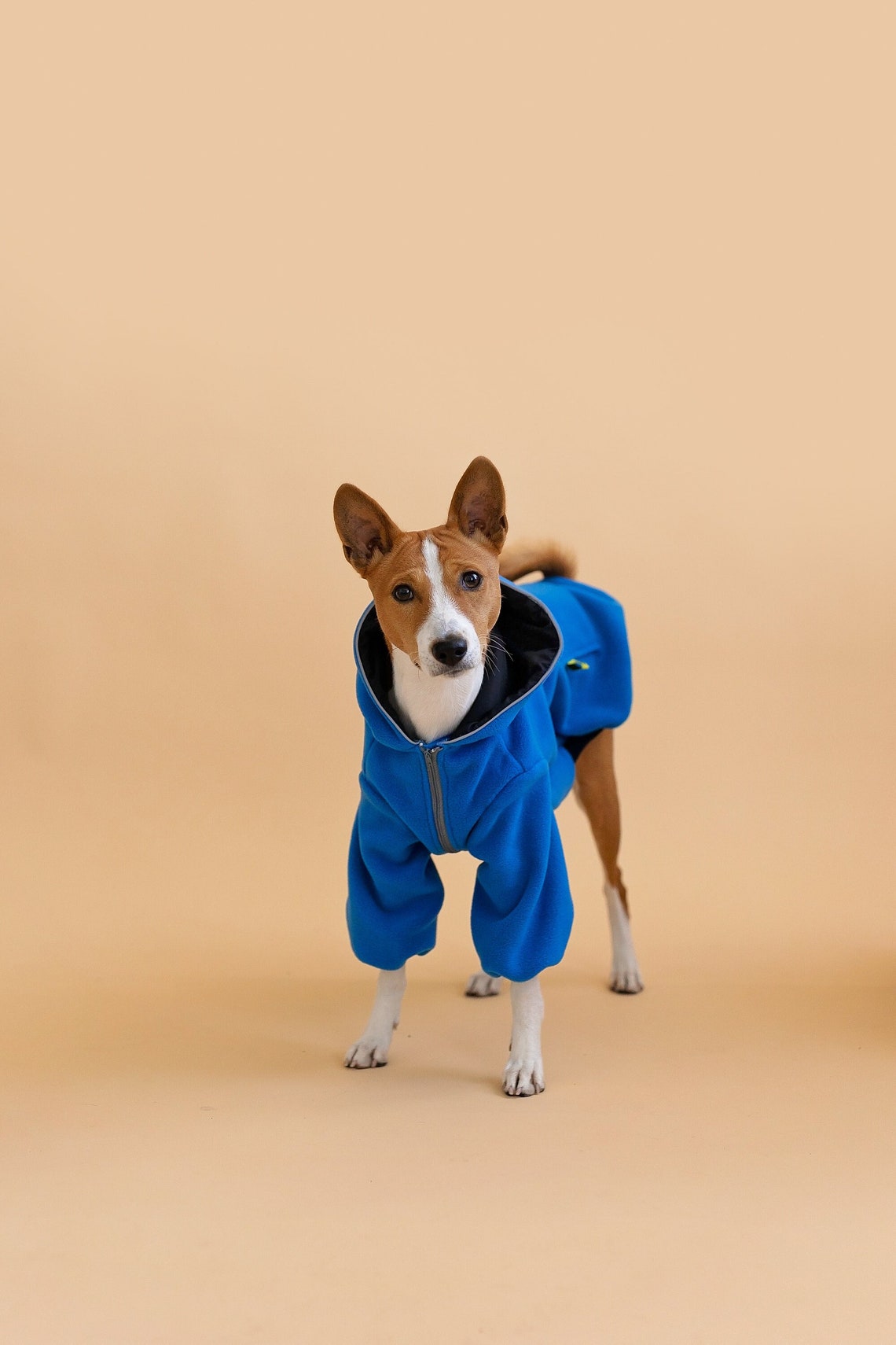 Designer Dog Sweater for Basenji Cozy Fleece Hoodie EU Etsy