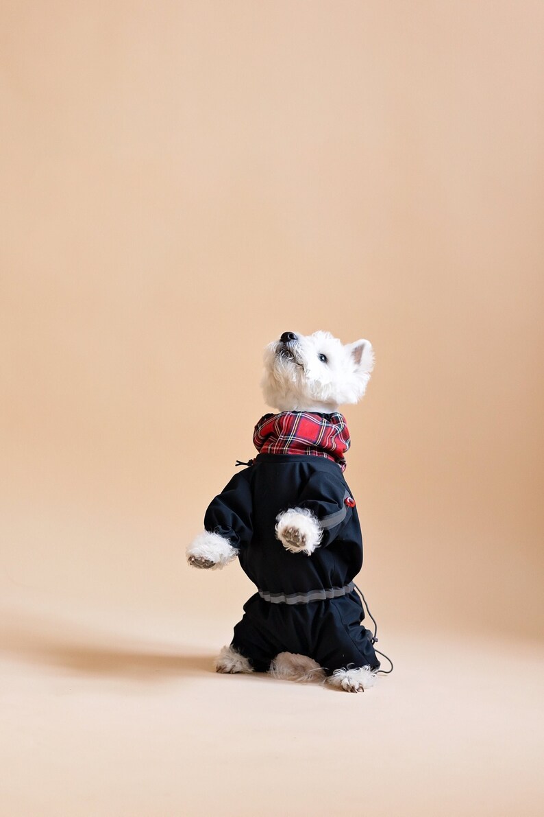 Waterproof BOY Dog RAINCOAT With Plaid Snood. Light Reflective Etsy