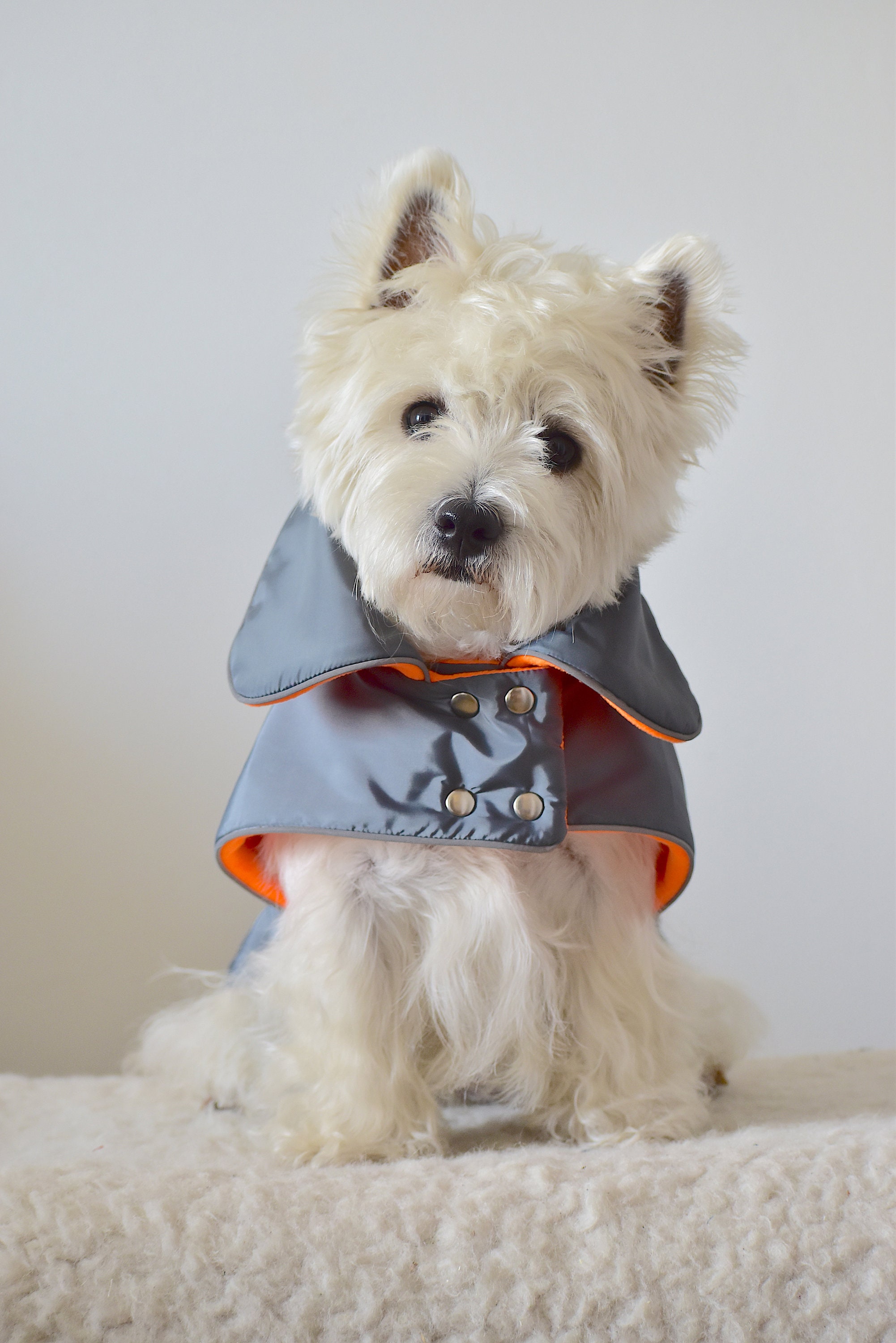 GREY winter dog COAT waterproof westie jacket dog winter Etsy