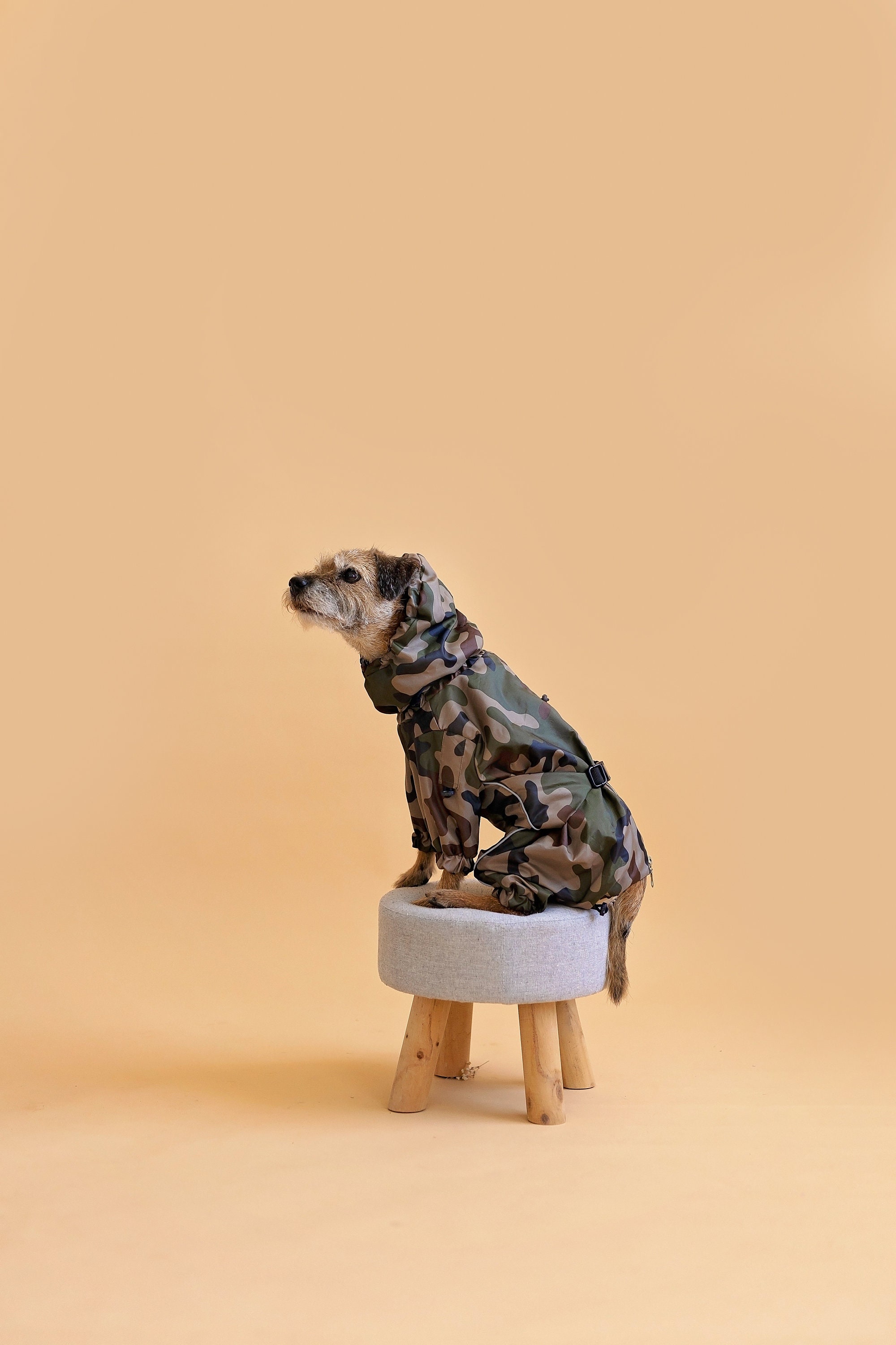 YFbrite Hunderegenmantel Größe L – Leichte, Wasserdichte Jacke Mit Reflektor Für Große Hunde