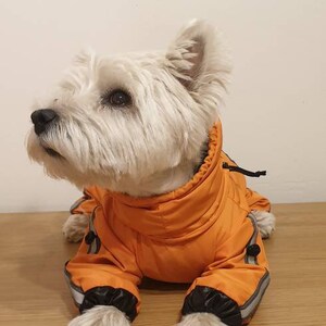 westie raincoat