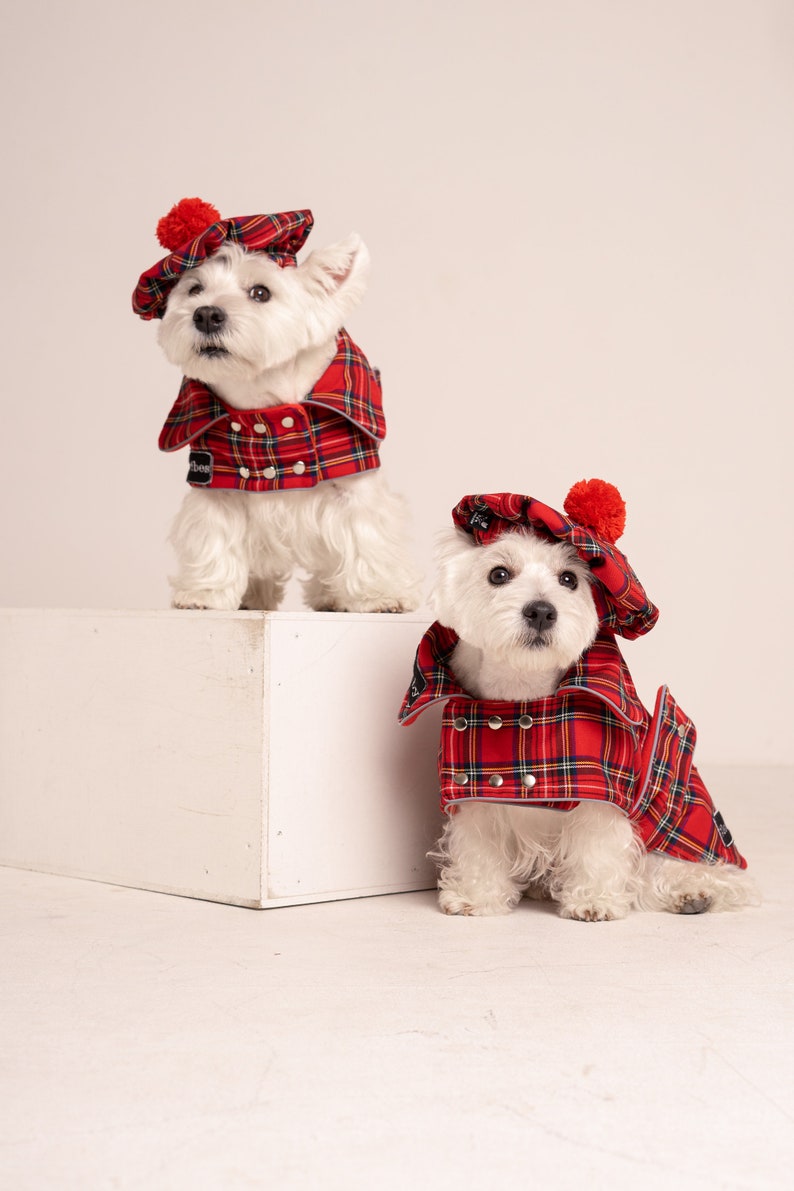 2 SETs: Westie royal Stewart red plaid COATs and CAPs. Scottish dog, warm, westie tartan jacket and hat, Tartan dog coat, christmas apparel image 6