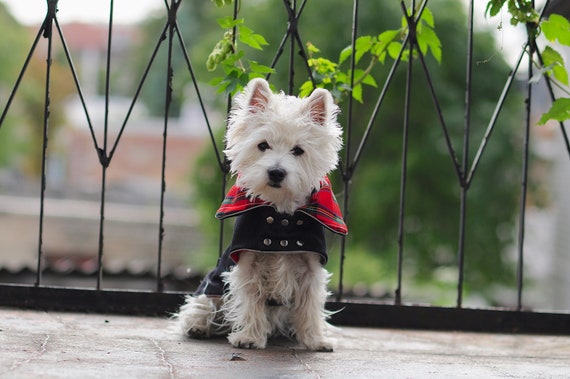 Manteau pour chien westie shop