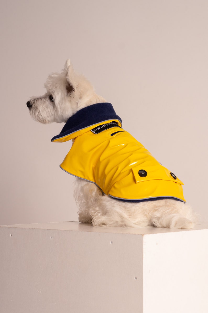 Yellow PVC Dog Coat With Reverse Navy Collar. Metal Studs. Light Reflects. Adjustable. Light or Fleece Underlayer. Small and Medium Dog Size image 7