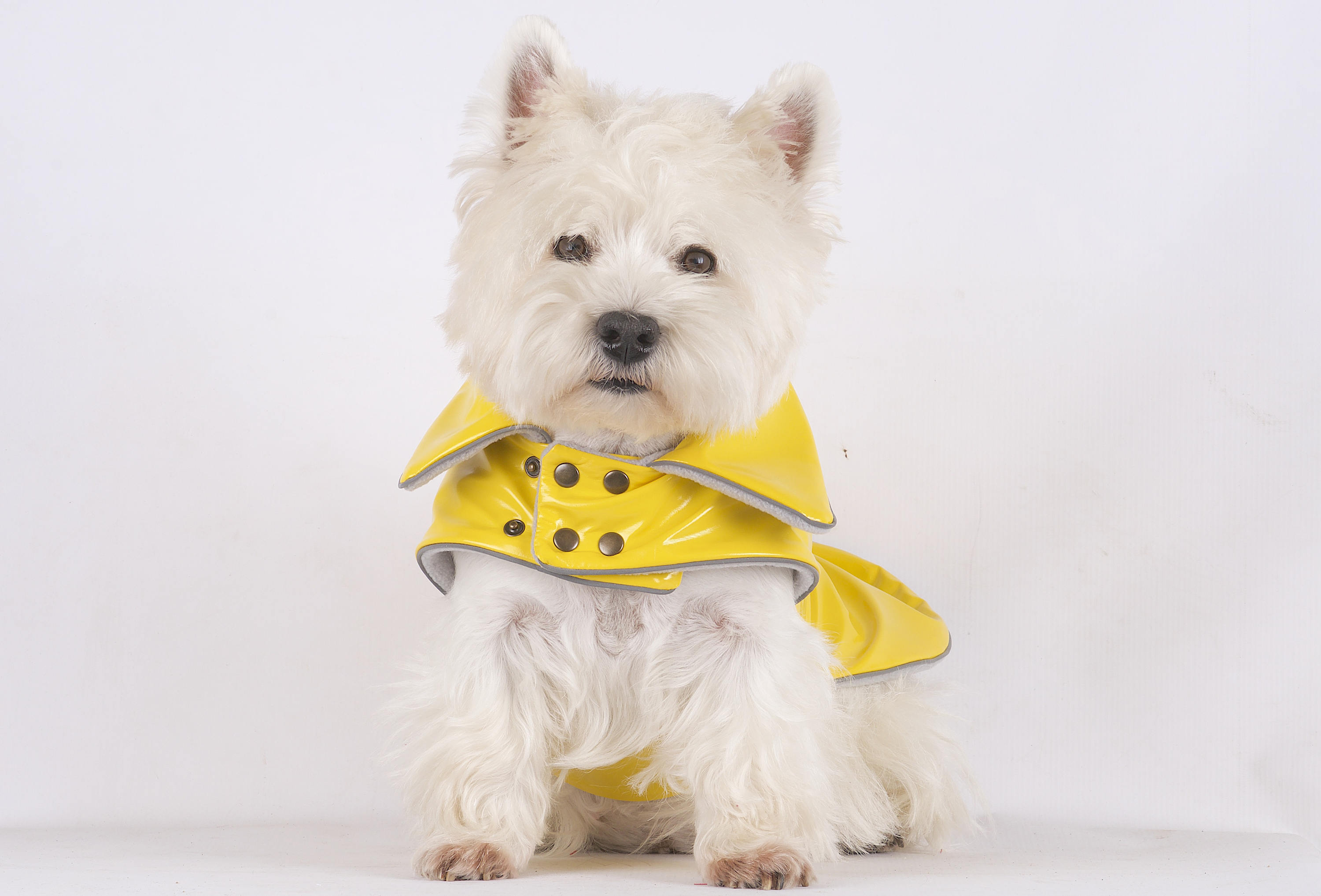 PVC gelb warmen Hund Regenmantel Hund gelb Regenjacke Etsy