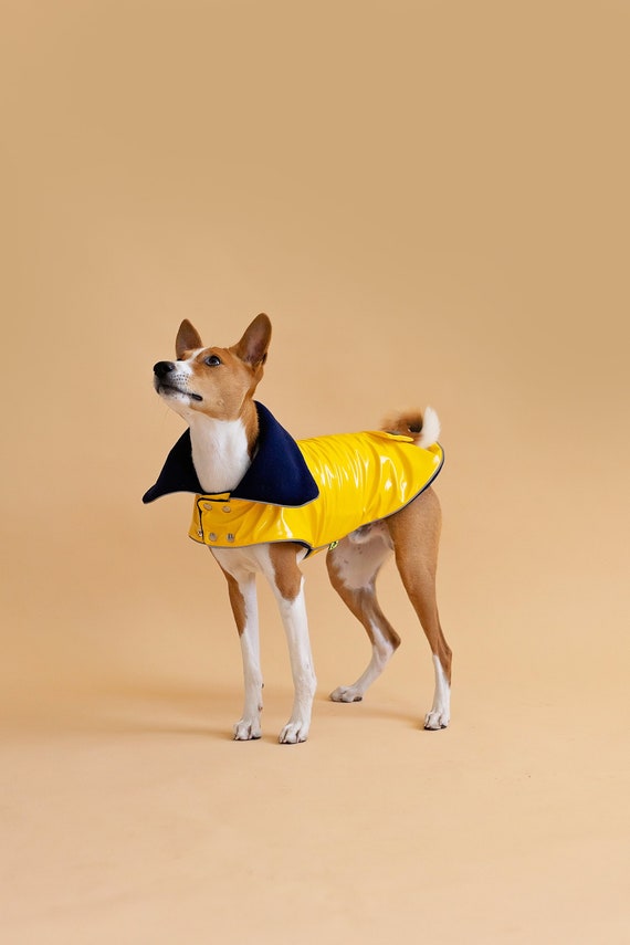 Yellow PVC Basenji Coat With Reverse Navy Collar Fleece - Etsy