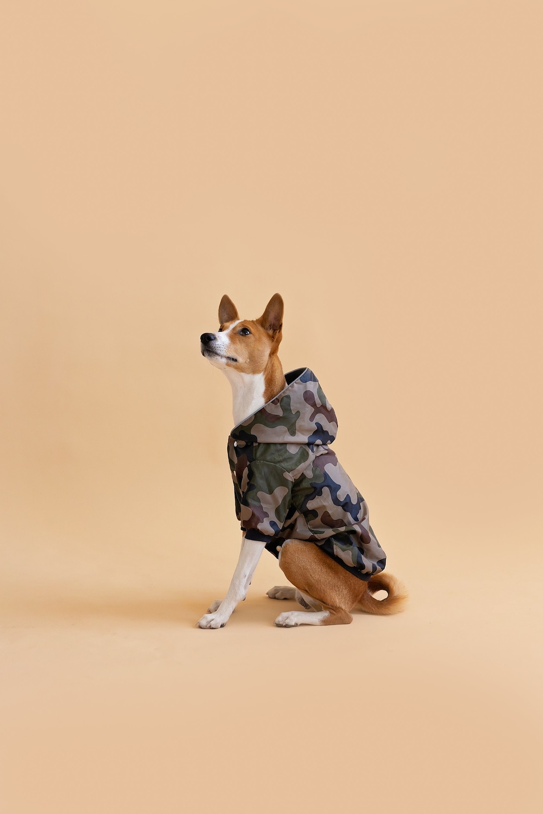 Basenji Camouflage Dog Coat With Arms and Hood. Warm or Light Dog