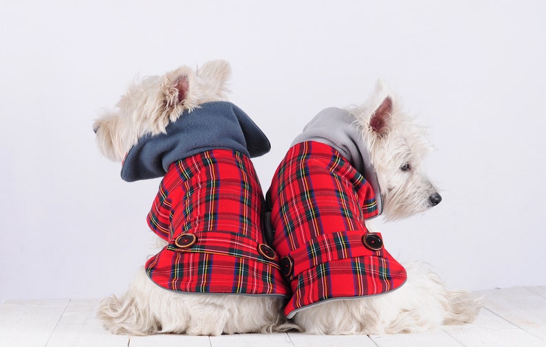 Royal STEWART PLAID westie COAT. Scottish dog coat westie Etsy
