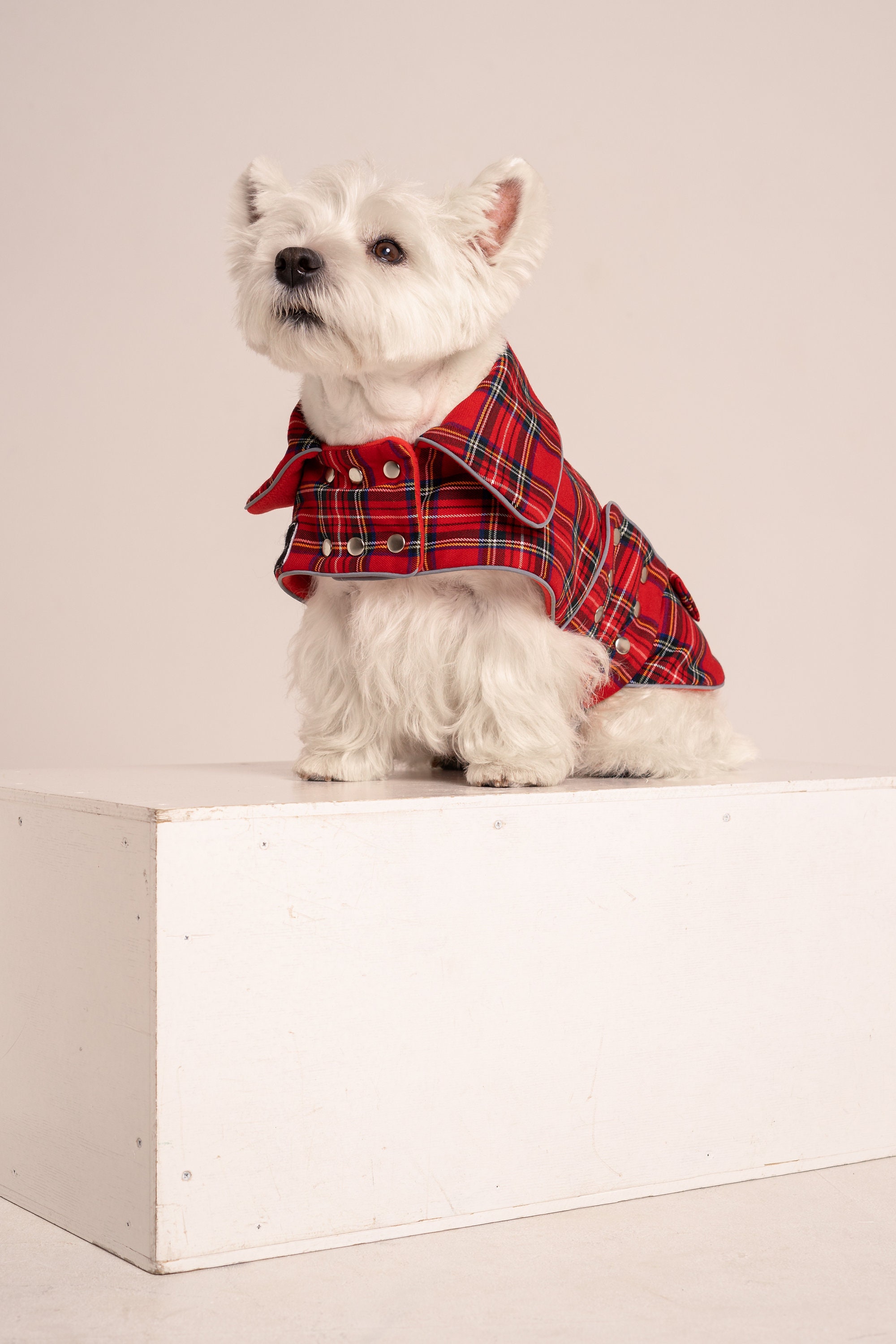 2 Pc. PLAID Dog Coats Tartan Dog Vest Westie Clothes Etsy