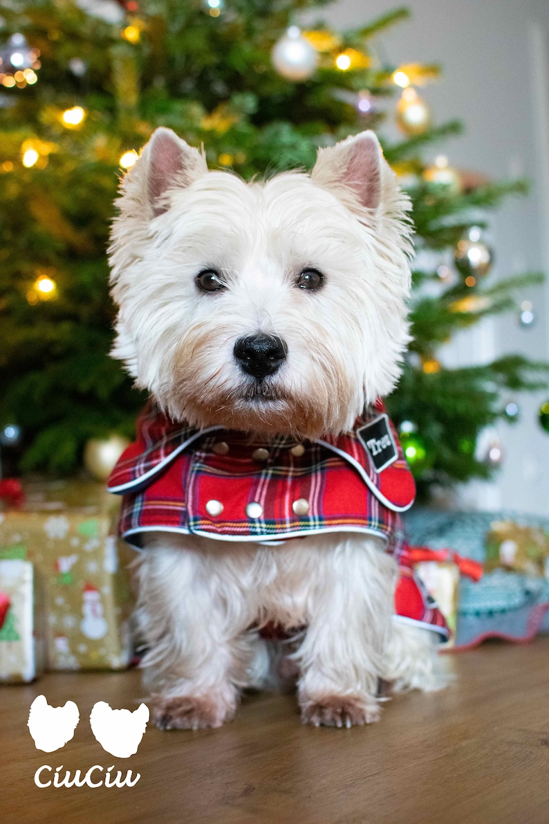 Plaid Dog COAT Scottish Dog Winter Clothes Monogrammed Dog Etsy