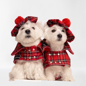 2 SETs: Westie royal Stewart red plaid COATs and CAPs. Scottish dog, warm, westie tartan jacket and hat, Tartan dog coat, christmas apparel image 3