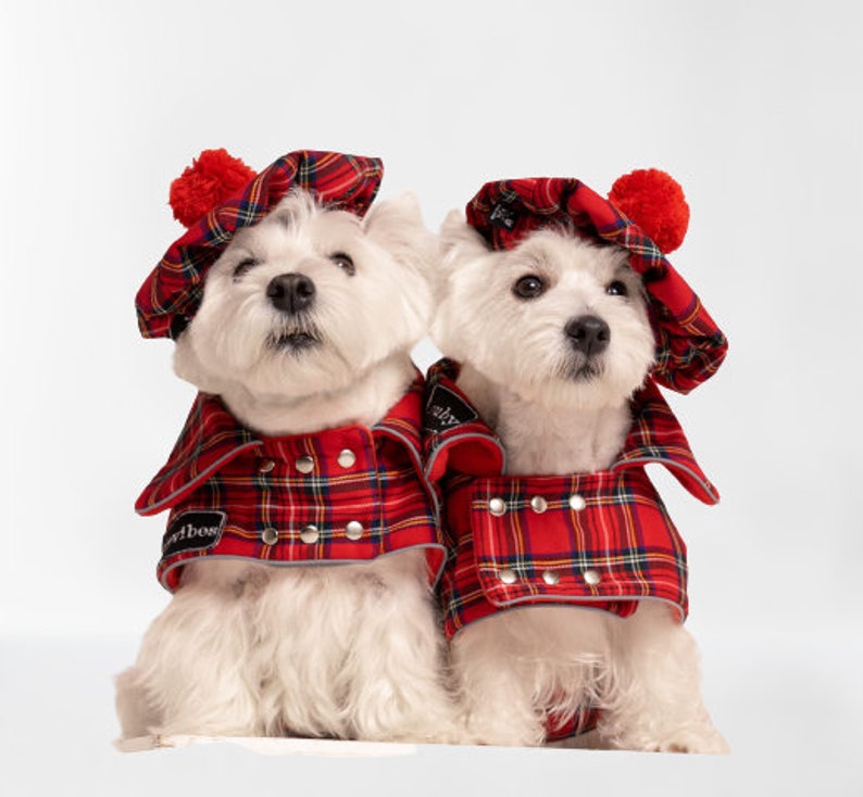 2 SETs: Westie royal Stewart red plaid COATs and CAPs. Scottish dog, warm, westie tartan jacket and hat, Tartan dog coat, christmas apparel image 3