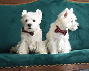 Dog Bow | Westie Neck Accessories | Classic Royal Stewart Plaid Dog Bowtie | Neck Accessories For Dog | Dog Photoshoot Props