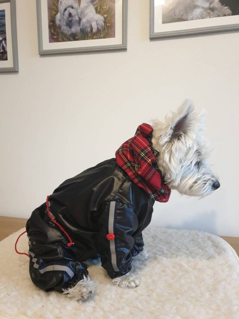 GIRL westie BLACK TARTAN raincoat dog raincoat dog rain Etsy