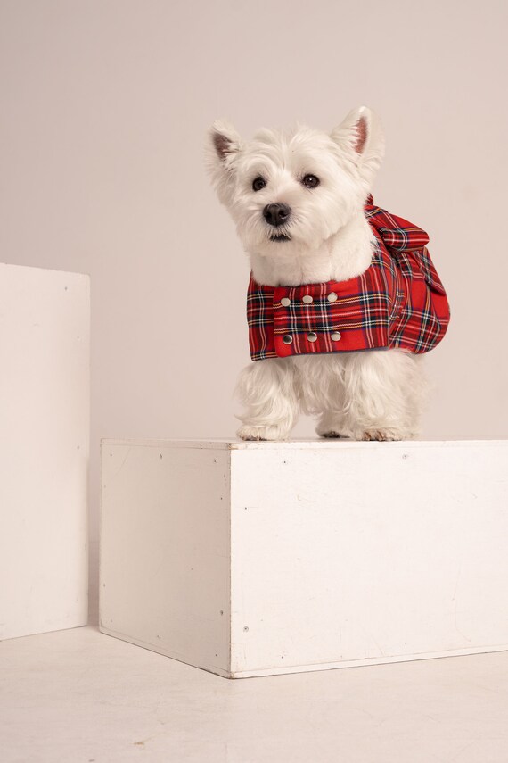tartan dog coats for westies