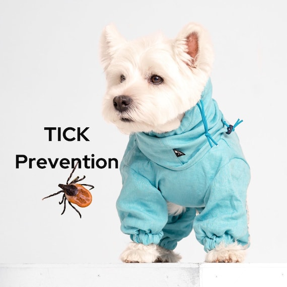 Summer dog clothes online