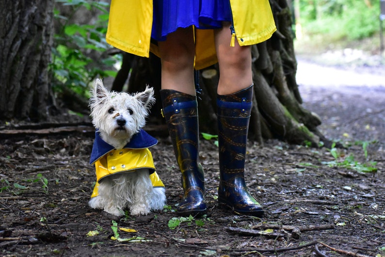 Yellow PVC Dog Coat With Reverse Navy Collar. Metal Studs. Light Reflects. Adjustable. Light or Fleece Underlayer. Small and Medium Dog Size image 4