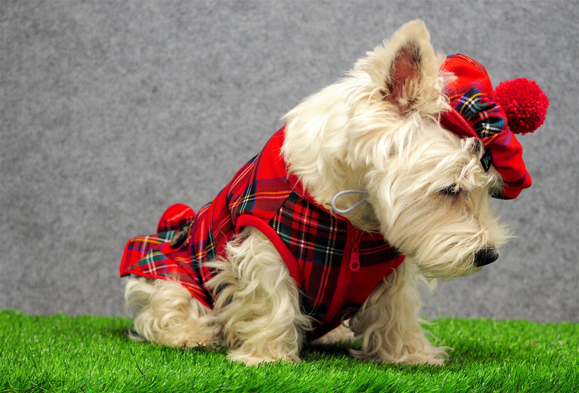 Plaid westie DRESS scottish dog outfit Scottish dog dress Etsy