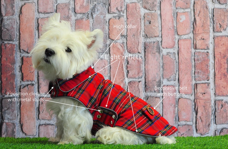 Royal STEWART PLAID westie COAT. Scottish dog coat westie Etsy