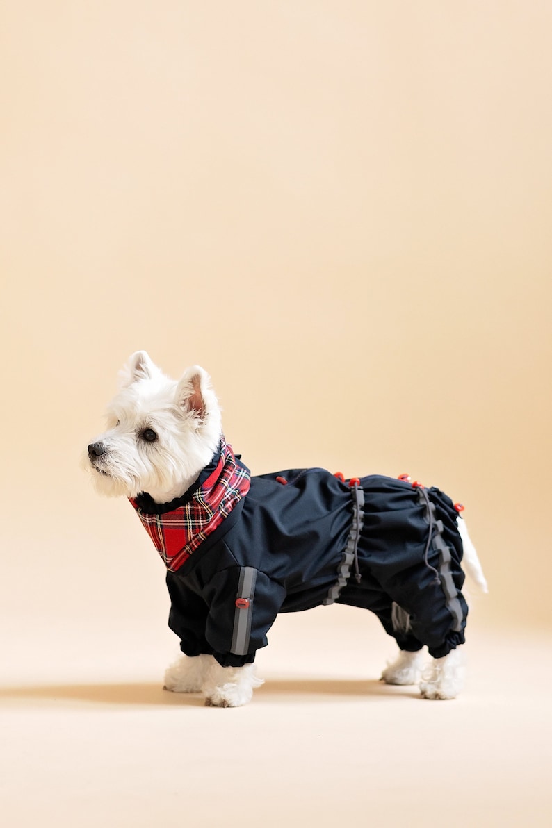Waterproof BOY Dog RAINCOAT With Plaid Snood. Light Reflective Etsy