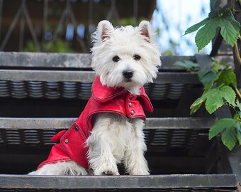 westie clothes