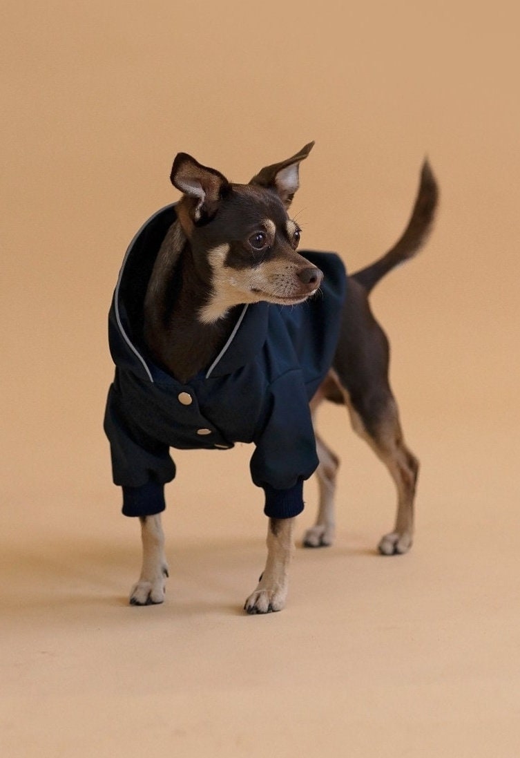 Dog Clothes Vestidos Para Perrita Pincher Mini Pinscher Ropa Para