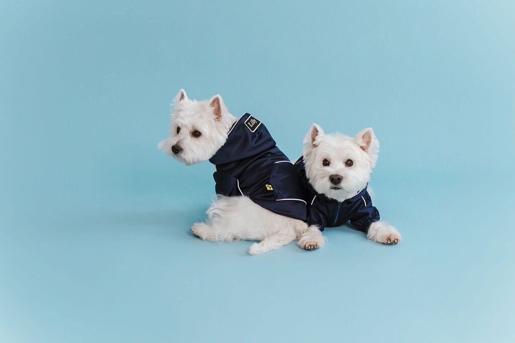 Retro Glow Navy Dog Hoodie: shiny vintage polyester, extra light reflects, sporty stylish look. Tiny front zipper, no buttons, no closer.