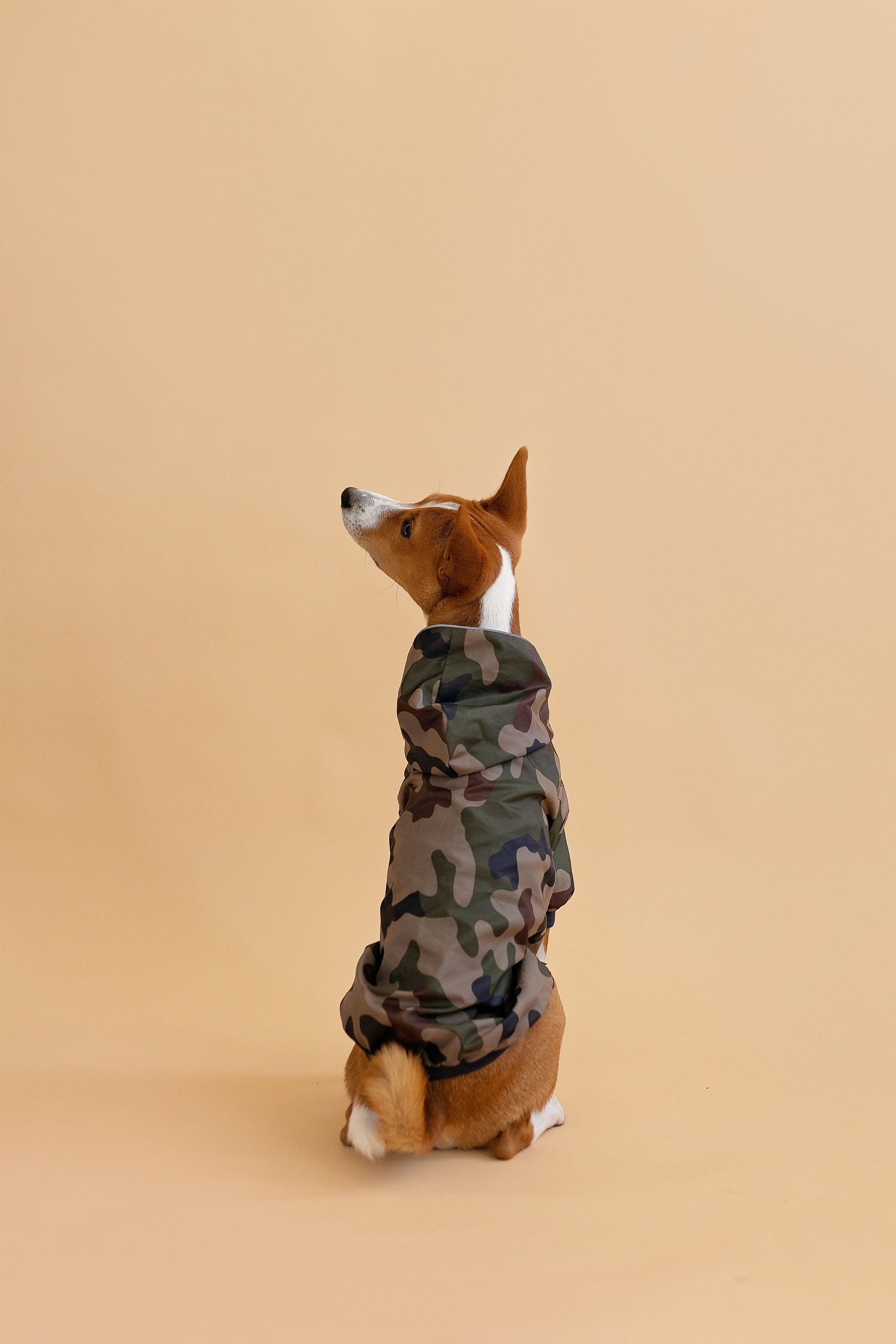 Basenji Camouflage Dog Coat With Arms and Hood. Warm or Light Etsy